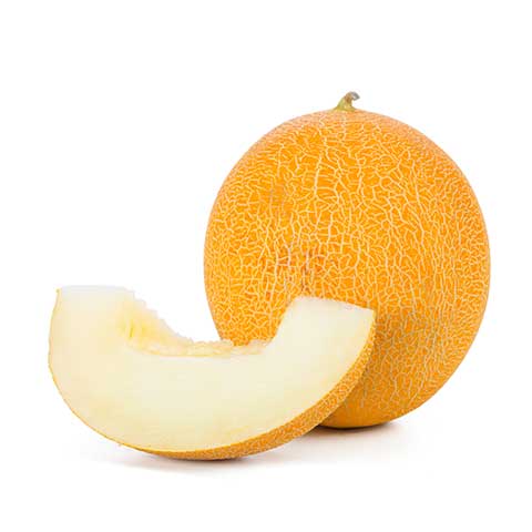 Melon