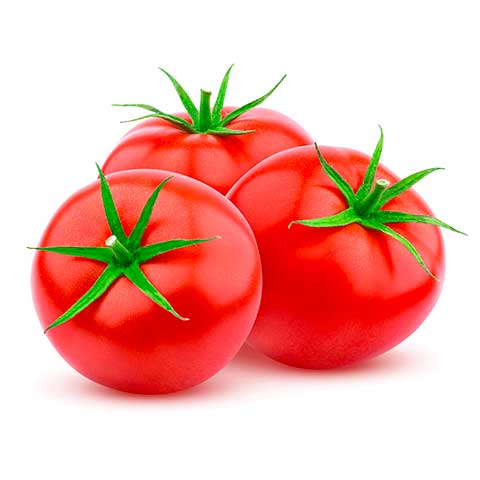 Tomato