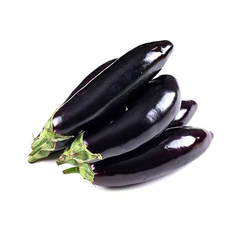 Eggplant